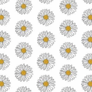 Meet your Posher, Annice